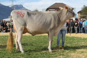 151003Altdorf 148